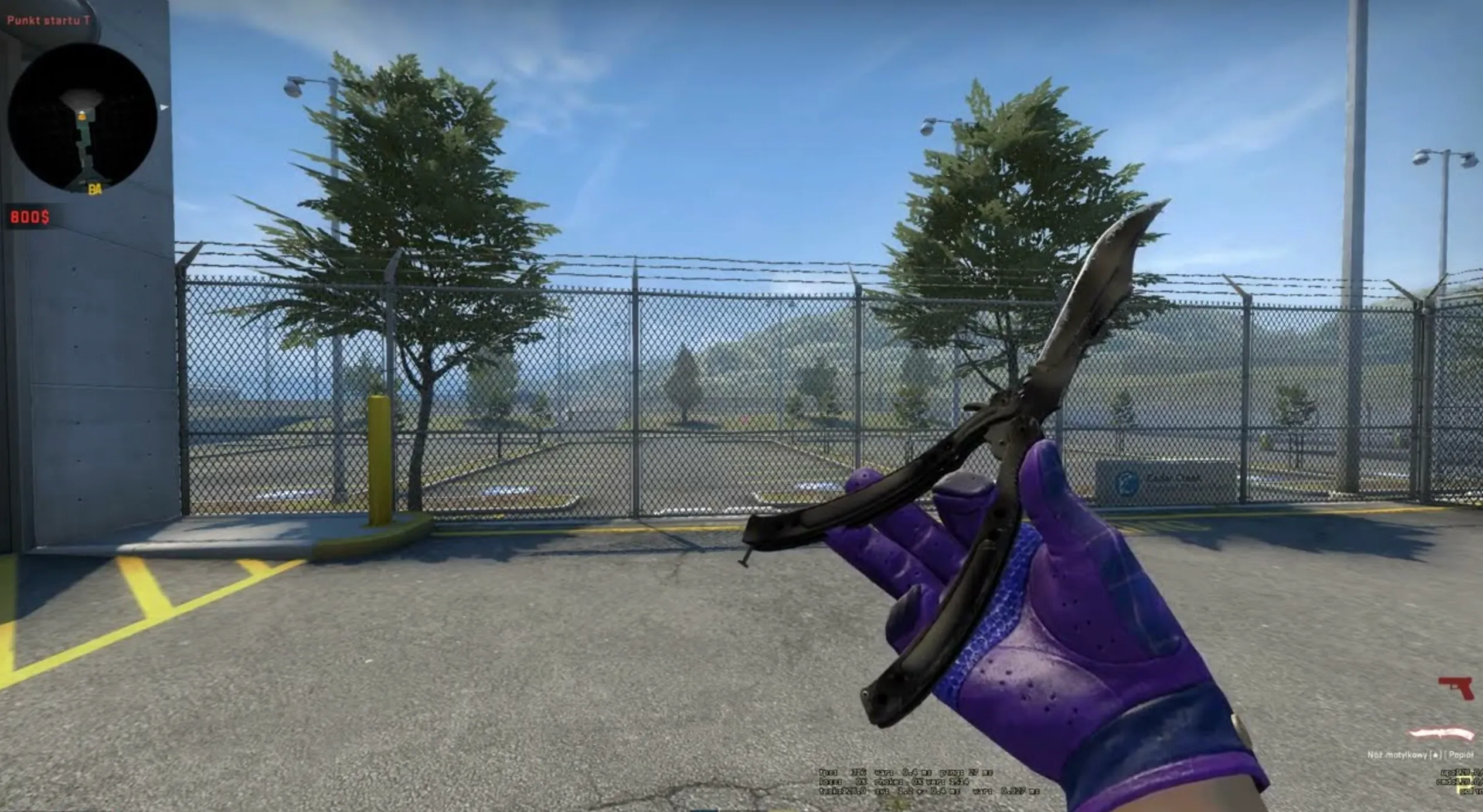 Butterfly Knife Scorched